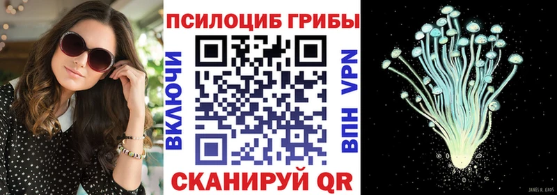 Галлюциногенные грибы прущие грибы  где купить наркотик  Малгобек 